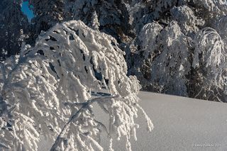 02 … напротив, он фактурный и яркий, …