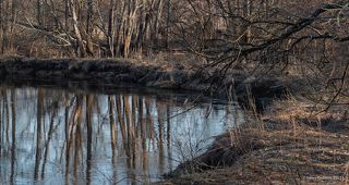 02 Графичное, быстротечное время…