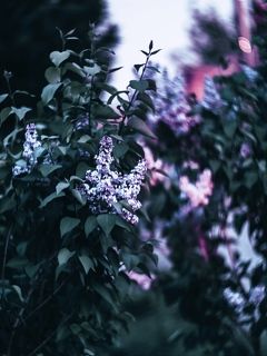 2 Дождливый и прохладный июнь. Но главное погода в доме.? Красноярск