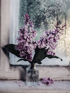 3 Дождливый и прохладный июнь. Но главное погода в доме.? Красноярск