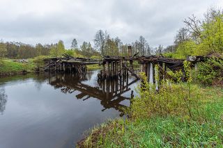 01 В этом году весна в Мещёре задержалась почти на 2 недели, а начало мая было непривычно сумрачным и дождливым. Но я не привык отступать от традиций и прогулялся по своим любимым местам… Вот наш старый знакомый – древний мостик, он пережил ещё одно половодье