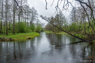 03 Периодически накрапывающий дождик навевает мысли об осени, зато украшает поверхность воды