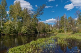 01 Наконец-то холода и дожди начала мая в Мещёре закончились …