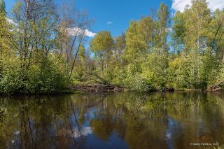 02 … и наступили солнечные, хотя и нежаркие, дни