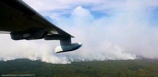 Граница пожара, до города осталось 8 км.