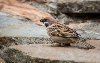 пример для малыша..