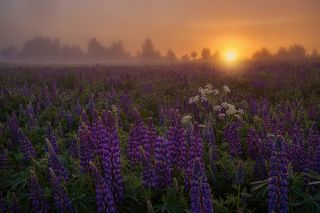 пентакс 28-105мм