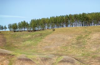 спуск к воде