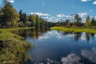 01 Это серия для любителей сравнивать. Парные кадры разделяет 10 дней. Здесь весна на Мещёрских реках в самом разгаре. Снято 21 мая 2022 года