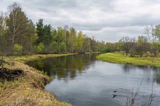 02 То же место 11 мая этого года. Весна в этом году опоздала примерно на 2 недели, поэтому картина больше похожа на конец апреля)
