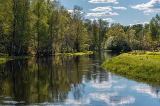 03 Богатство оттенков зелёного 21 мая …