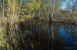 02 … и графична