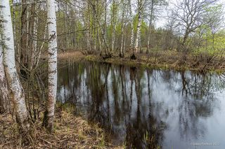 03 Даже небольшой дождик в начале мая оказался ей очень к лицу: …