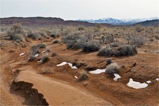 22.03.2012, 12:37 Наурыз пришел в Казахстан с райской погодой. Традиционно сезон фотосафари окрыло путешествие на Богуты.