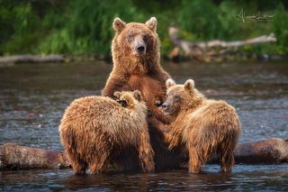 Камчатка, июль 2022.