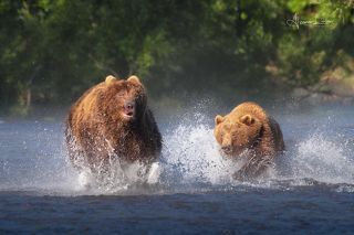 Камчатка, июль 2022.