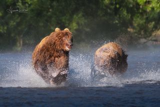 Камчатка, июль 2022.