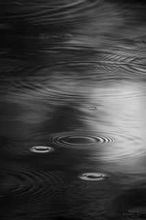 Магия воды

Гладь озера во время небольшого снегопада и ветра. Снято на 600 mm.

В Выборгских лесах, Ленинградская область.
Апрель 2021.