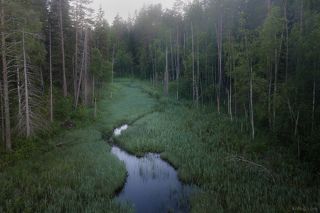 Туманное утро в заказнике Долина реки Смородинки
