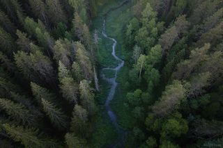 Туманное утро в заказнике Долина реки Смородинки