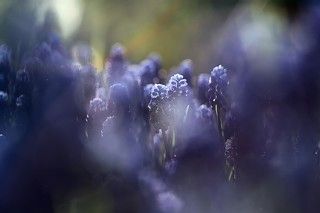 луч света в темном царстве