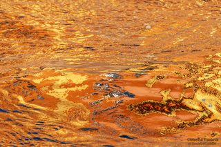 Лето. Август