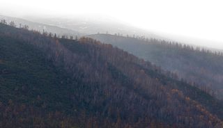 Снято телевиком