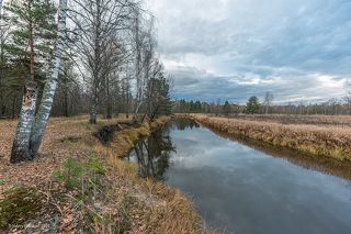 03 Момент безветрия, спокойная вода
