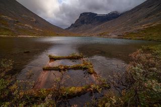 объектив самьянг 14 мм