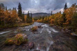 объектив самьянг 14 мм