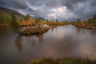 объектив самьянг 14 мм