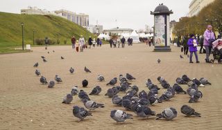 маленькое путешествие в город Дмитров