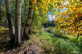 01 Осенние старицы не отличаются полноводием, зато весьма живописны