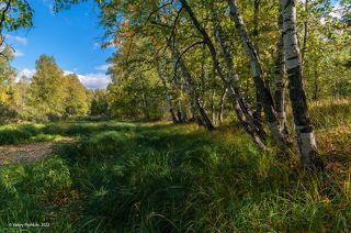 02 В этом году осень припозднилась с приходом, …