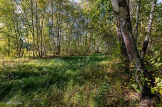 03 … и по этому кадру не скажешь, что снят он 20-го сентября, …