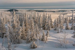 02 В Шерегеше удивительным образом сочетаются дикость природы и её доступность, поэтому свежий снег здесь – субстанция весьма скоропортящаяся…