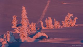 03 … а, во-вторых, удивительную гармонию, к которой удалось прикоснуться