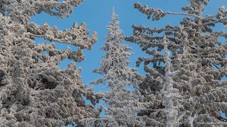 01 На вершине горы Зеленой частенько засиживаются облака, которые являются мощным генератором инея