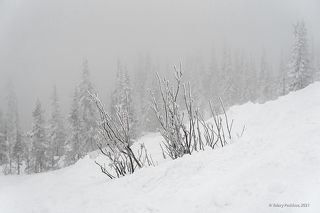 02 Дымка хорошо разделяет планы, …