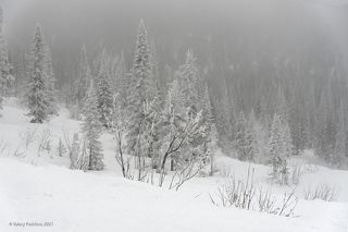 03 … а неяркая нейтрально-серая цветовая гамма объединяет элементы пейзажа