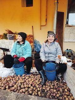 урожай