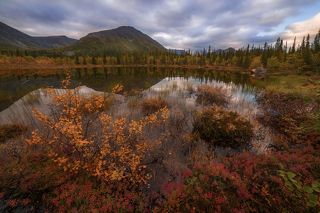 объектив самьянг 14 мм