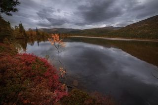 объектив самьянг 14 мм