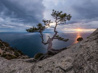 Заказник Новый Свет в Крыму