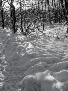 Зимние зарисовки