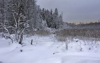 зима