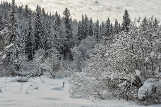 01 День для поездки мы выбрали весьма фактурный…