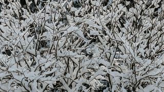 03 … а выразительная облачность и мягкий свет создавали комфортное настроение