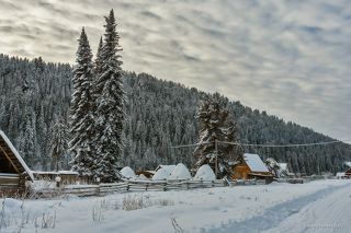 02 … левый же её берег - крутой, поросший густой тайгой, …