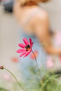 больше серий: https://www.instagram.com/valerabatay/